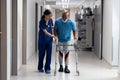 Diverse female doctor helping senior male patient use walking frame in hospital corridor, copy space Royalty Free Stock Photo