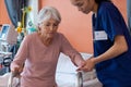 Diverse female doctor helping senior female patient use walking frame, copy space Royalty Free Stock Photo