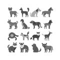 Diverse Grey Dog Breeds: Flat Vector Illustration with Simple Shapes and Designs Royalty Free Stock Photo