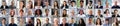 Diverse Group of Business People Avatars