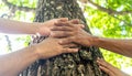 Community Hands Together on a Tree Trunk Royalty Free Stock Photo