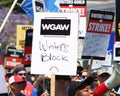 Diverse group of people in a protest in Los Angeles, the United States