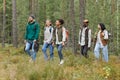 Friends Hiking in Forest Royalty Free Stock Photo