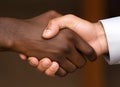 Diverse Hands Clasped in a Firm Handshake Showing Unity and Agreement