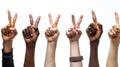 Diverse hands raised with two fingers up in a peace or victory sign, isolated on white background Royalty Free Stock Photo