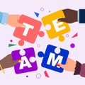 Diverse hands unite puzzles with word team. Unity and trust.