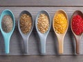 Diverse Harvest: Top View Spoon with Seeds, Row of Spoons with Grains. Royalty Free Stock Photo