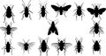 Diverse Insect and Bug Silhouettes Collection Royalty Free Stock Photo