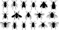Diverse Insect and Bug Silhouettes Collection Royalty Free Stock Photo