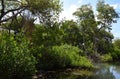 Curacao Rif Mangrove Park landscape