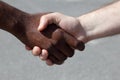 Diverse men shaking hands Royalty Free Stock Photo