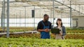 Diverse organic farm workers using laptop to manage online orders for bio lettuce grown with no pesticides