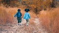 Diverse people of asian and african american children having fun walking and playing together in natural park in autumn Royalty Free Stock Photo