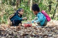 Diverse people of asian and african american children playing together in forest during summer camp