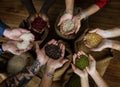 Diverse People Hands Hold Show Superfood Grains Corps