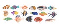 Diverse Set Of Sea Fishes Clown, Angel, Butterfly, Showcase The Beauty And Variety Of Underwater Life, Illustration