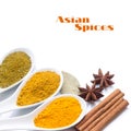 Diverse spices in a spoon isolated on white background Royalty Free Stock Photo