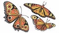 Butterfly variations set, insect vector design diverse styles. vector design Generative AI Royalty Free Stock Photo
