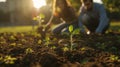 Diverse team of enthusiastic volunteers planting young trees in urban park together Royalty Free Stock Photo