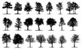 Diverse Tree Silhouettes Vector Collection Royalty Free Stock Photo