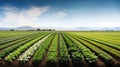 Diverse varieties of sustainable crops: A snapshot of fields growing innovative plant varieties ada