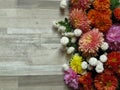 Diverse vibrant colours chrysanthemum bunch on bleached oak wood background.White, yellow, orange, pink, purple chrysanthemum. Royalty Free Stock Photo