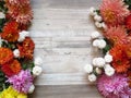 Diverse vibrant colours chrysanthemum bunch on bleached oak wood background.White, yellow, orange, pink, purple chrysanthemum. Royalty Free Stock Photo