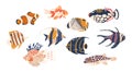 Diverse And Vibrant, Sea Fishes Underwater Ecosystems. From Colorful Tropical Species To Majestic Deep-sea Creatures