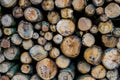 Diverse wood logs in closeup, nature pattern background, lumbered fire wood Royalty Free Stock Photo
