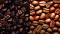 diverse world of coffee roasts with an assortment of beans laid out on a rustic wooden table Royalty Free Stock Photo