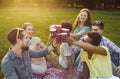 Group of happy young friends having outdoor party in park, drinking and having fun Royalty Free Stock Photo