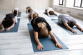 Diverse people practicing yoga at group lesson, doing Balasana exercise Royalty Free Stock Photo