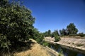 Diversionary channel with trees on a summer day in the italian countryside