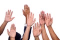 Diversity of Business Hands Raised Royalty Free Stock Photo