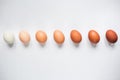 Diversity of chicken eggs on a white background. Colorful chicken eggs.
