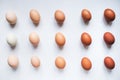 Diversity of chicken eggs on a white background. Colorful chicken eggs.