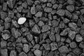 Diversity concept: lone white stone among gray black stones. Stone texture and background