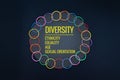 Diversity concept. mix colorful rubber band on black background with text Diversity, Ethnicity, Equality, Age, Sexual Orientation Royalty Free Stock Photo