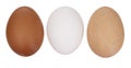 A diversity of eggs. Three chicken, hens eggs isolated on white. Different colors: brown white and speckled.