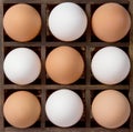 Diversity eggs, white and brown eggs