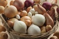 Diversity of fresh onions in a basket Royalty Free Stock Photo