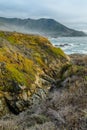 Diversity Graces the Coastal Landscape of California