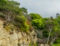 Diversity Graces the Coastal Landscape of California