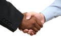Diversity handshake Royalty Free Stock Photo