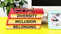 Diversity Inclusion Belonging. Text inscription on books.