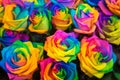 Diversity, joy, LGBT, rainbow, flowers background. Royalty Free Stock Photo