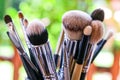 A bunch of makeup brushes, clear captured on a blurred background