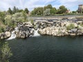 Diversity of micro ecosystems along Idaho Falls Riverwalk