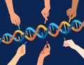 Diversity people hand that completes the DNA Helix genetic concept vector illustration