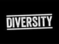 Diversity - the practice of including or involving people from a range of different social and ethnic backgrounds and of different